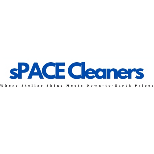 Dispo cleaners
